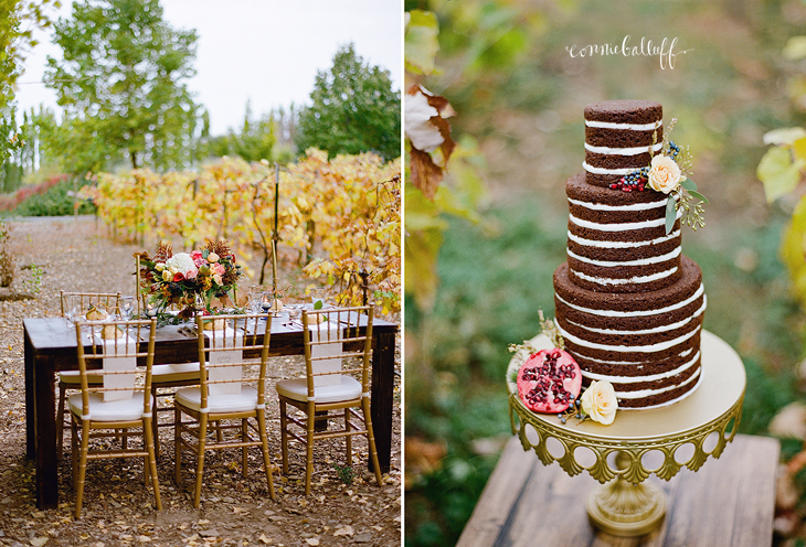 phelps fruit and berry farm bridals2