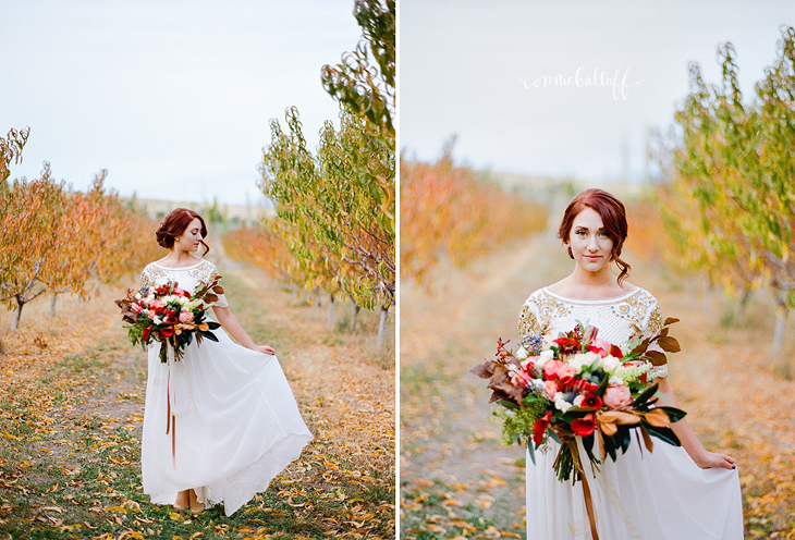 phelps fruit and berry farm bridals20